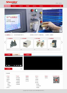 浙江申樂電氣 攜手上海專業團隊，打造數字化企業新門戶